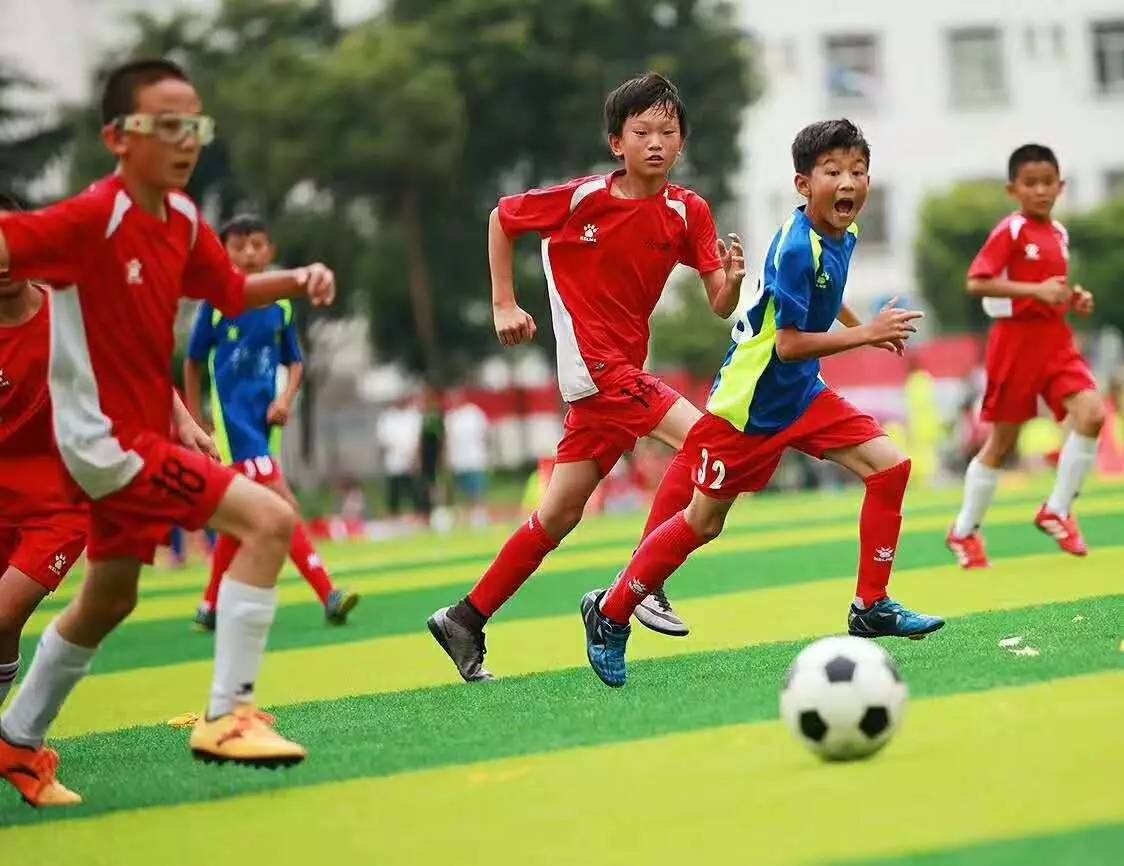 从南半球到东方市场，Witsbb健敏思凭实力荣获2024入海年度电商领航奖